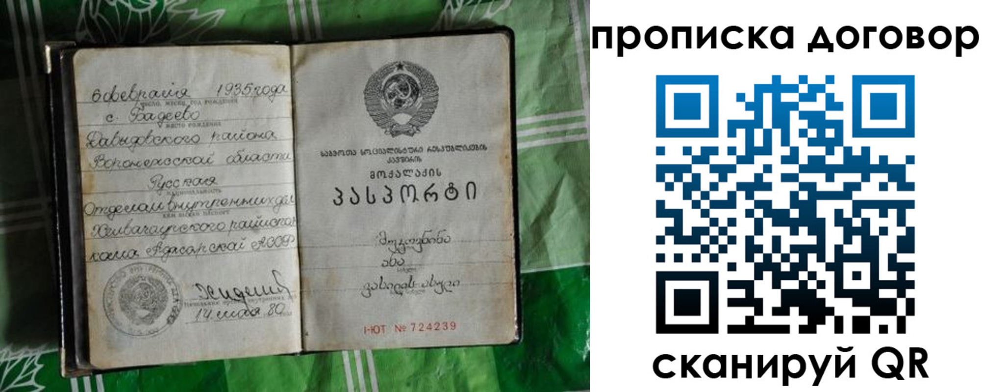 прописка в Абазе